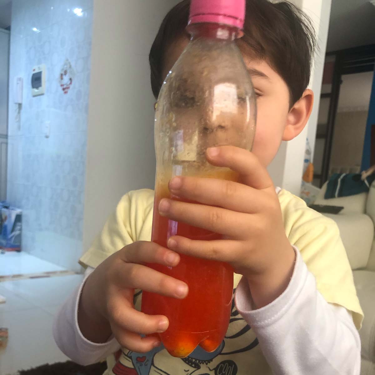 EXPERIMENTO - LÁMPARA DE LAVA - DYLAN ARANZALES