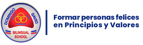 Logo del Colegio Domingo Savio Bilingual School